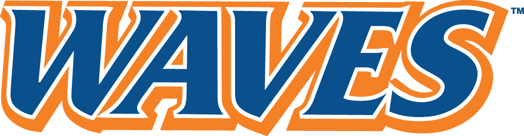 Pepperdine Waves 2004-Pres Wordmark Logo v3 diy DTF decal sticker